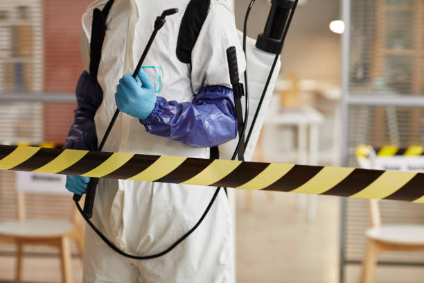 Professional Sewage Cleanup technician working in Newtown, OH